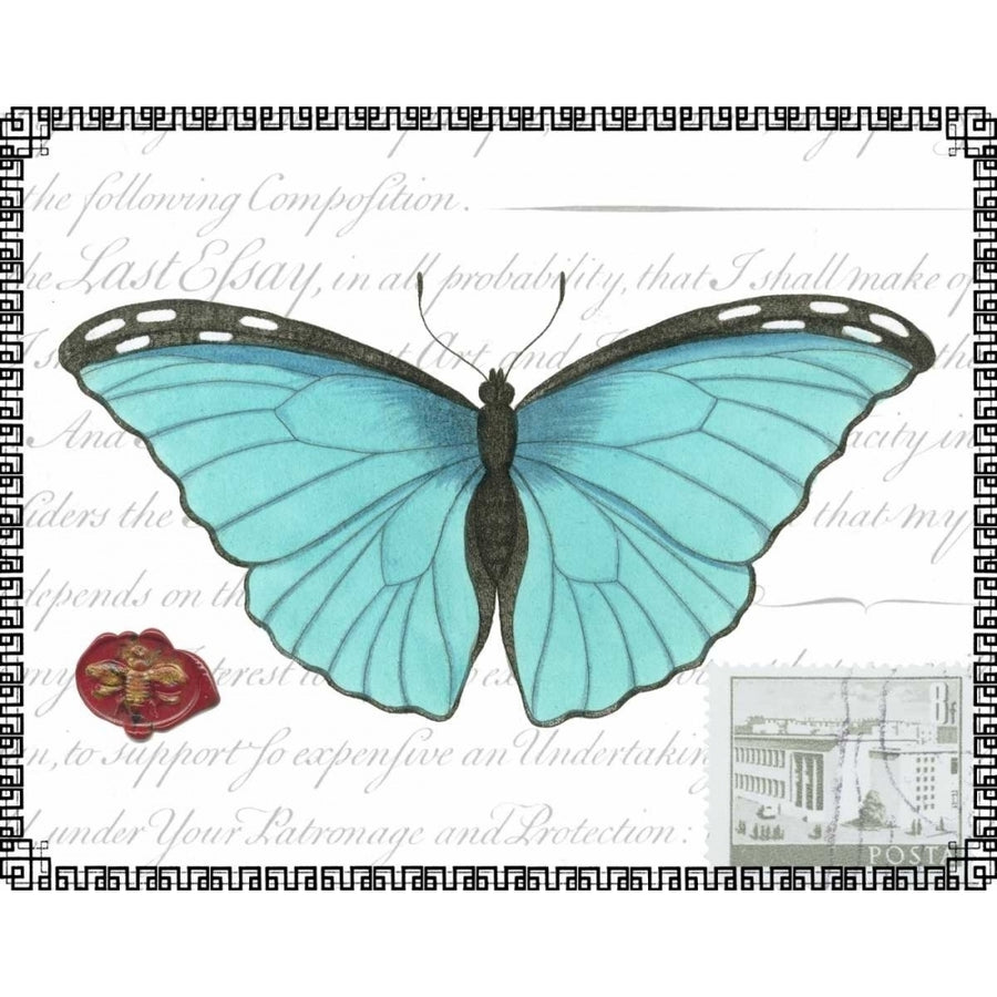 Butterfly Prose IV Poster Print - Studio Vision-VARPDX48806D Image 1