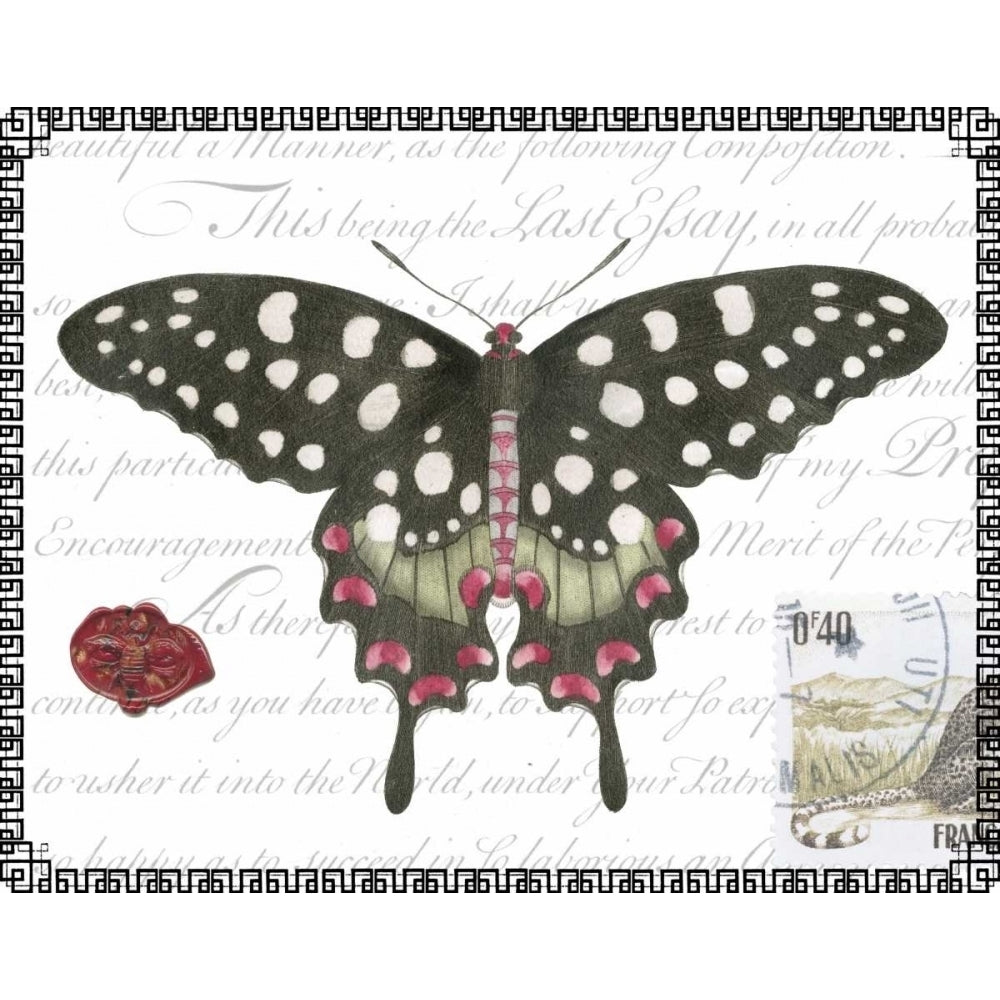 Butterfly Prose V Poster Print - Studio Vision-VARPDX48807D Image 1