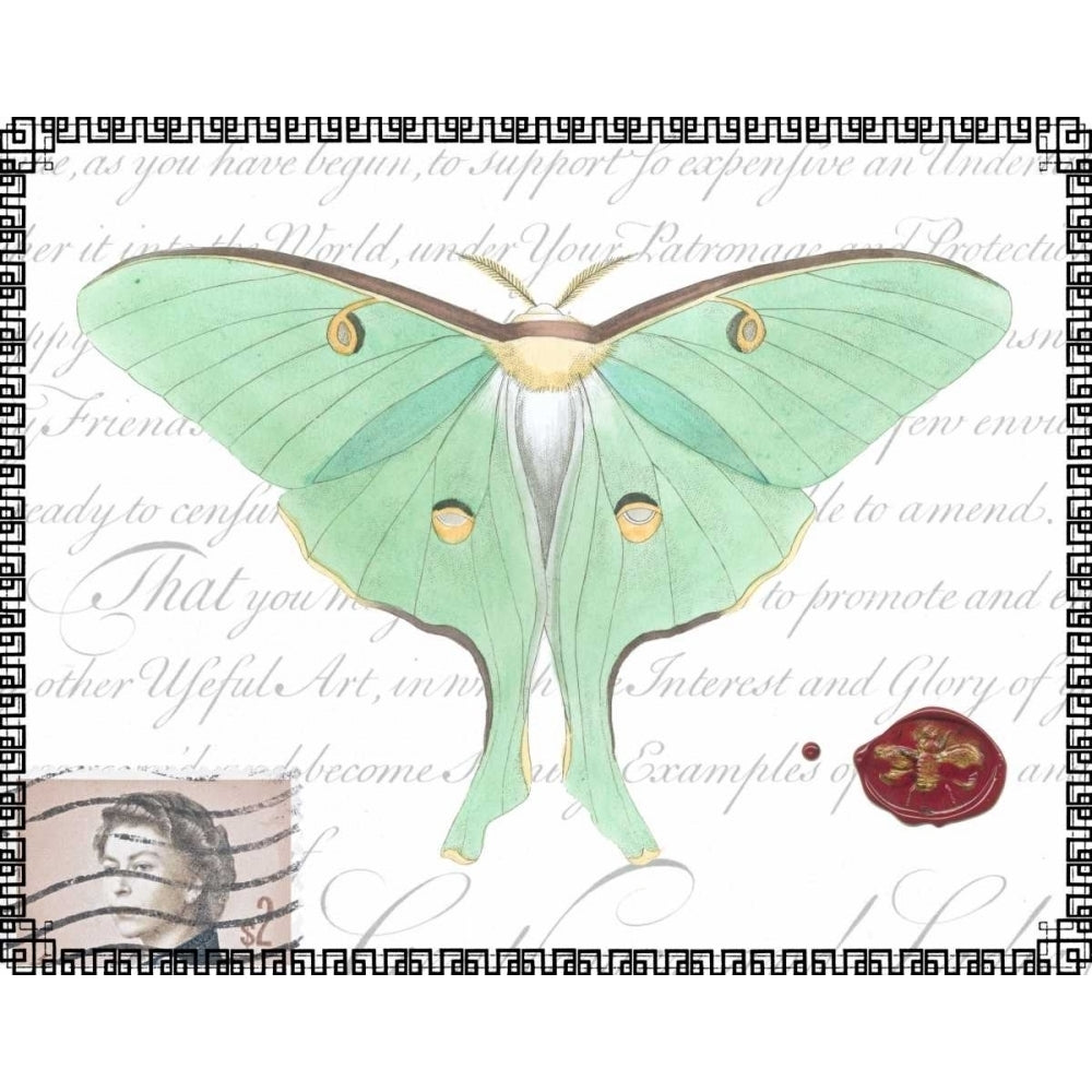 Butterfly Prose VI Poster Print - Studio Vision-VARPDX48808D Image 1