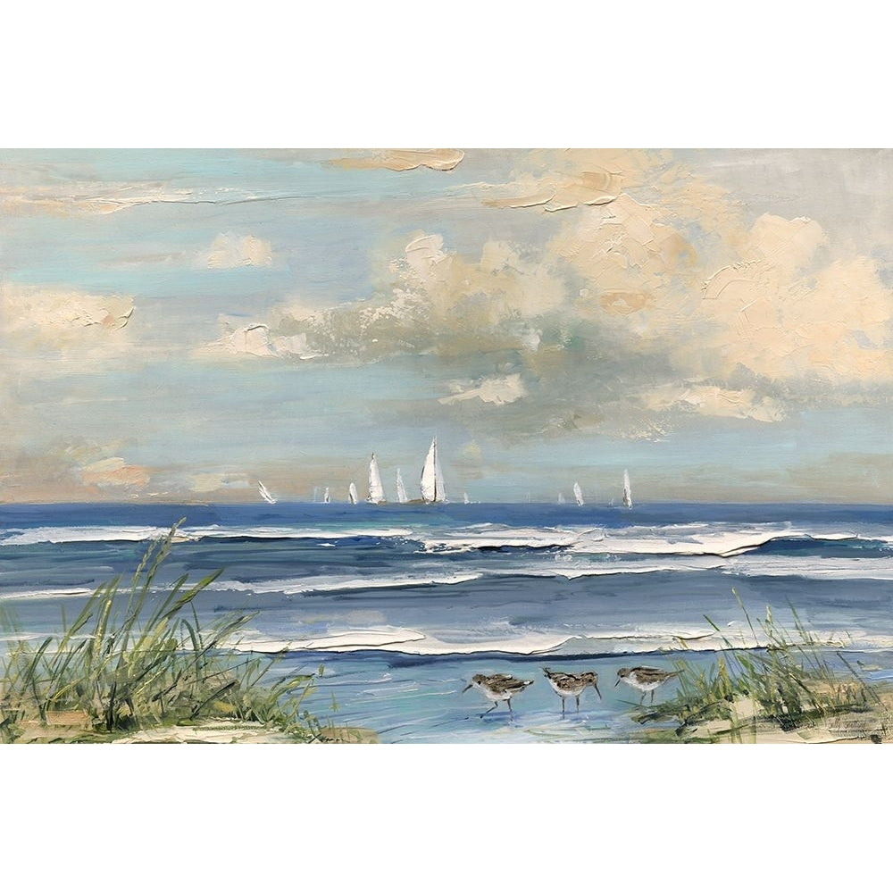 Ocean Regatta Poster Print - Sally Swatland-VARPDX48811 Image 1