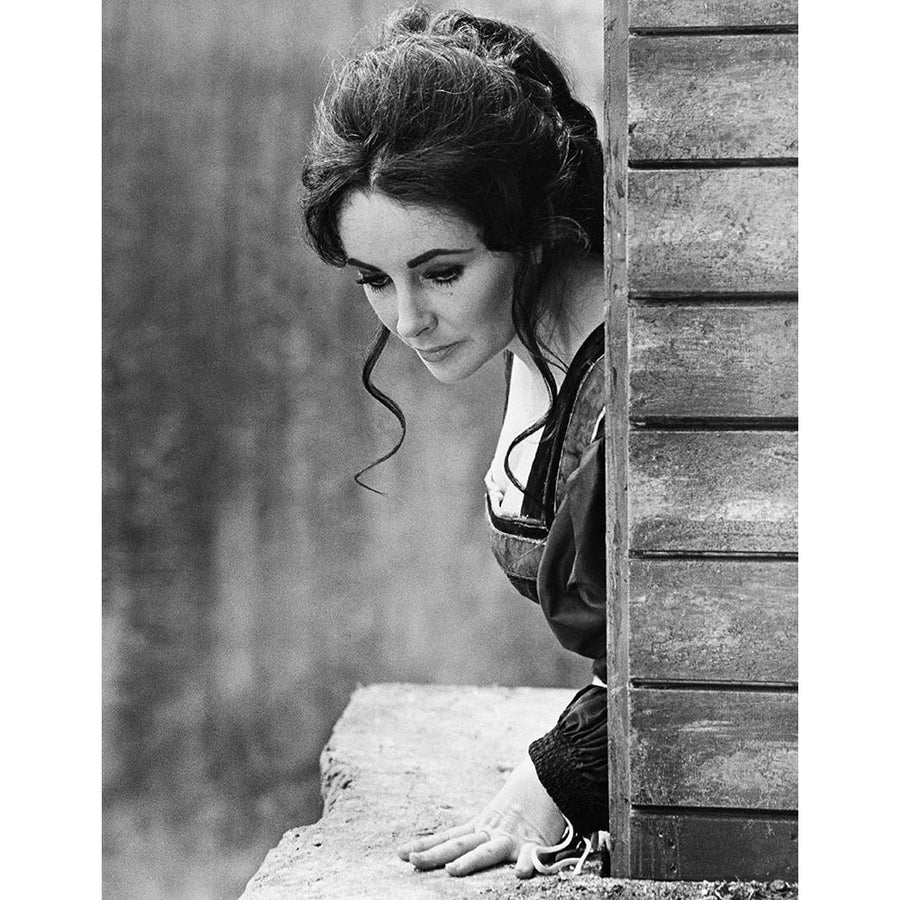 Elizabeth Taylor Poster Print by Hollywood Photo Archive Hollywood Photo Archive-VARPDX489909 Image 1