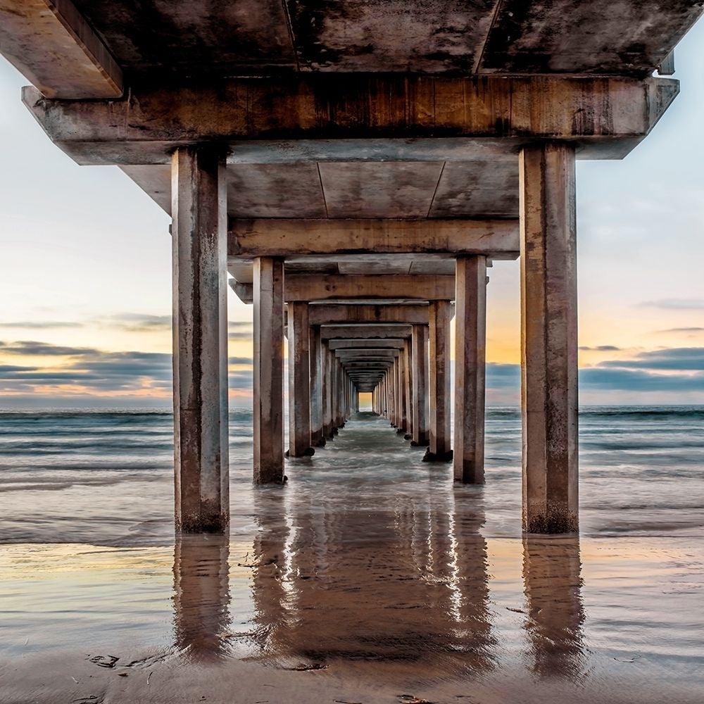 Under Scripps Pier Poster Print - Danita Delimont-VARPDX49074 Image 1