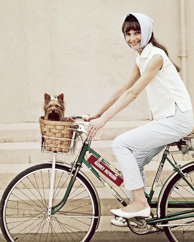 Audrey Hepburn by Hollywood Photo Archive-VARPDX491158 Image 1