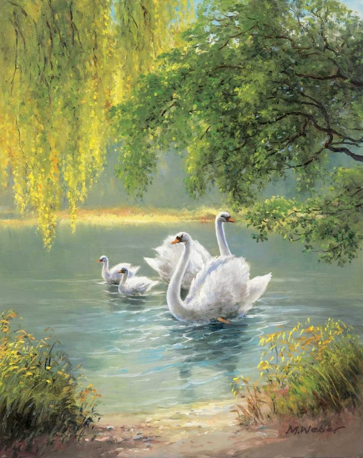 Swan Family II Poster Print by Max Weber-VARPDX4911 Image 1