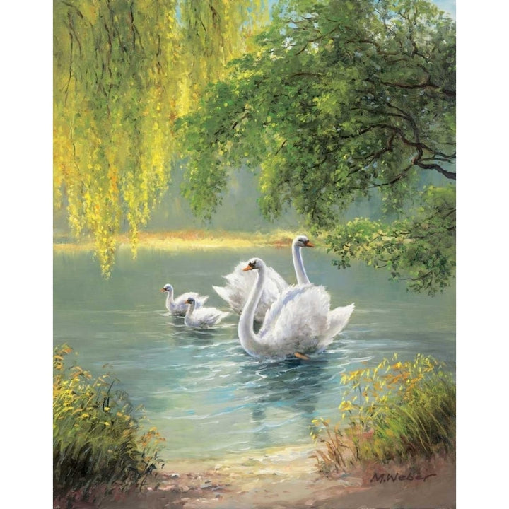 Swan Family II Poster Print by Max Weber-VARPDX4911 Image 2