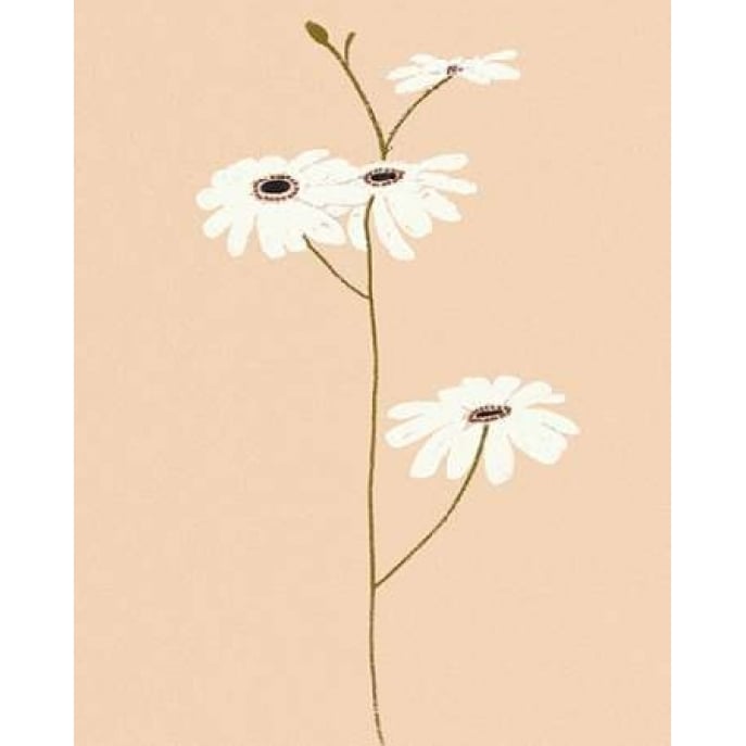 Serene Florals I Poster Print by Design Show-VARPDX49198 Image 1