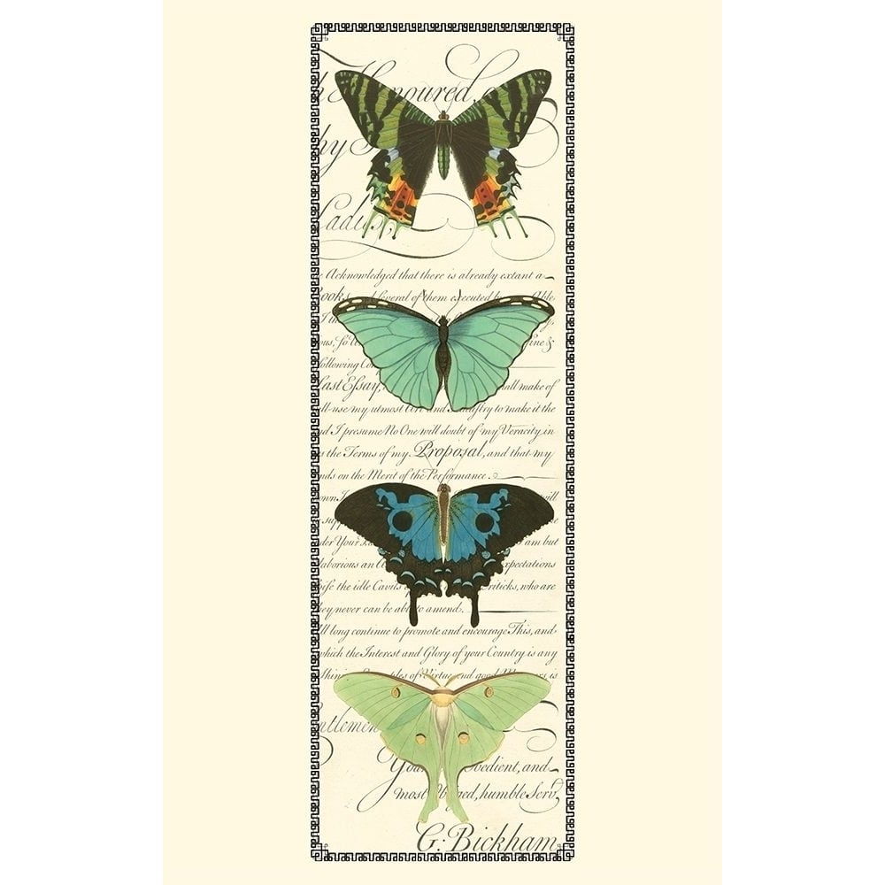 Small Butterfly Prose Panel II-VARPDX49249D Image 1