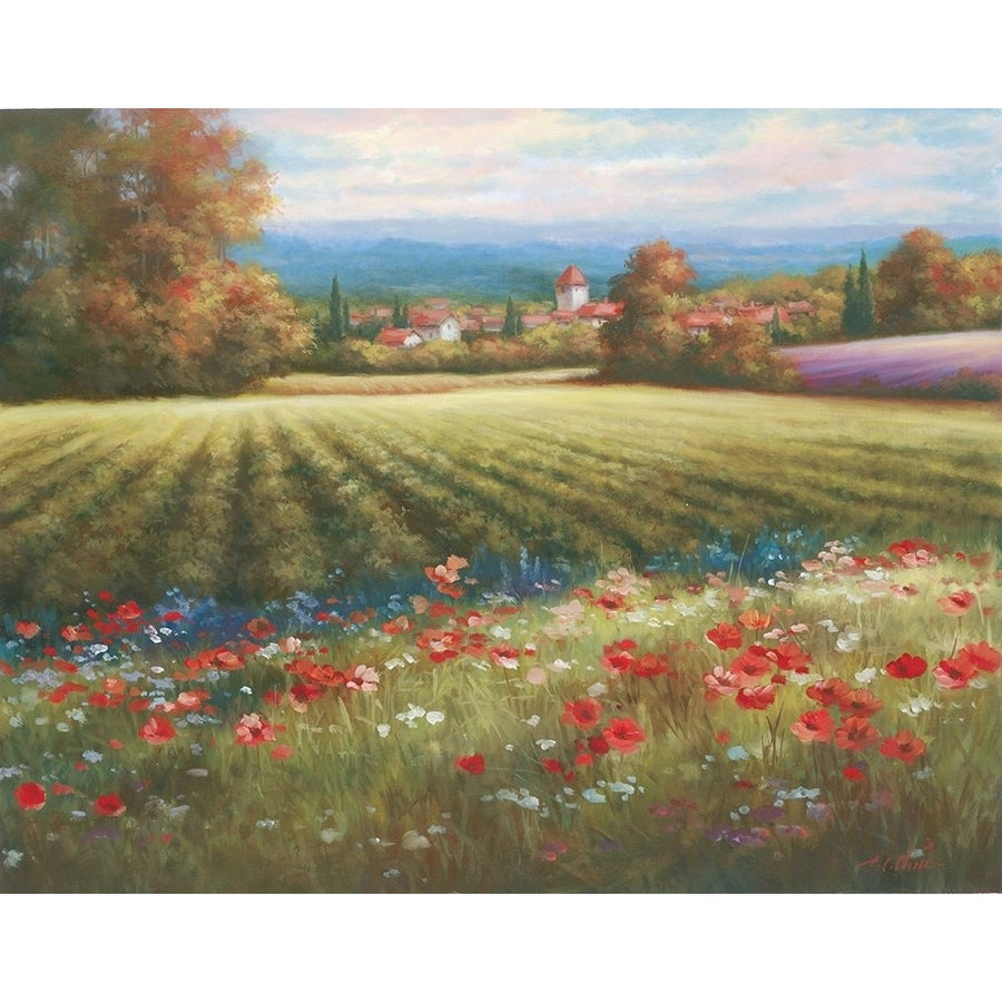 Fields of Provence I Poster Print by Unknown Unknown-VARPDX4944 Image 1