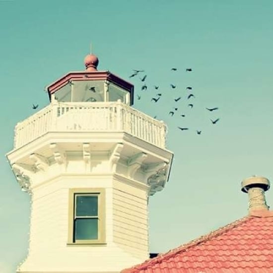 Lighthouse Birds Poster Print by Vicki Dvorak-VARPDX494DVO1001A Image 2