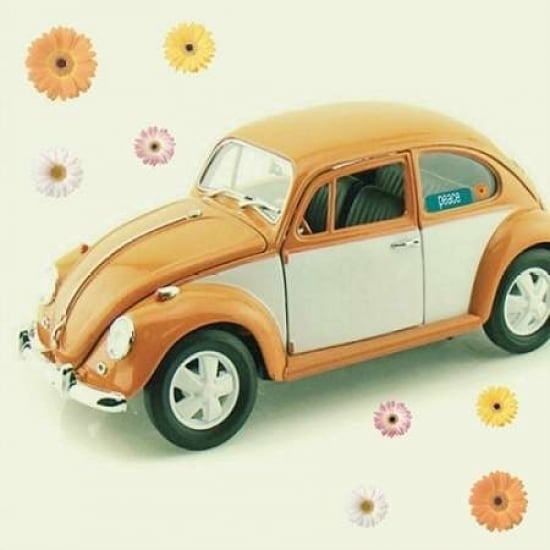 Orange Daisies Poster Print by Vicki Dvorak-VARPDX494DVO1011B Image 2