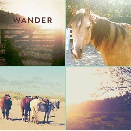 Horses And Sunburst WANDER Poster Print by Vicki Dvorak-VARPDX494DVO1040 Image 1