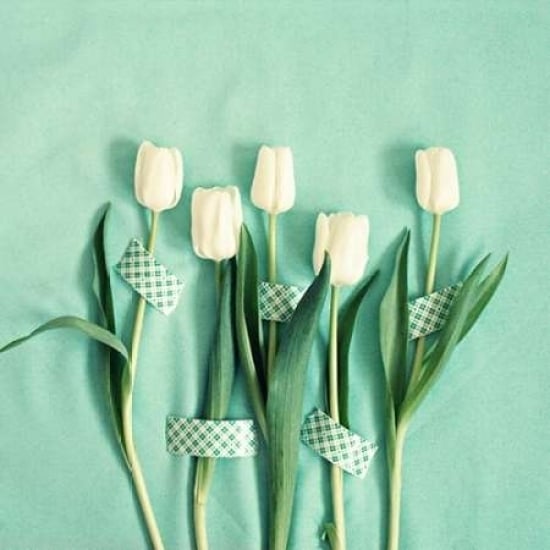 White Tulips Taped Poster Print by Vicki Dvorak-VARPDX494DVO1050 Image 1