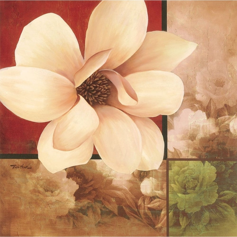 Magnolia Collage Poster Print by Unknown Unknown-VARPDX4950 Image 1