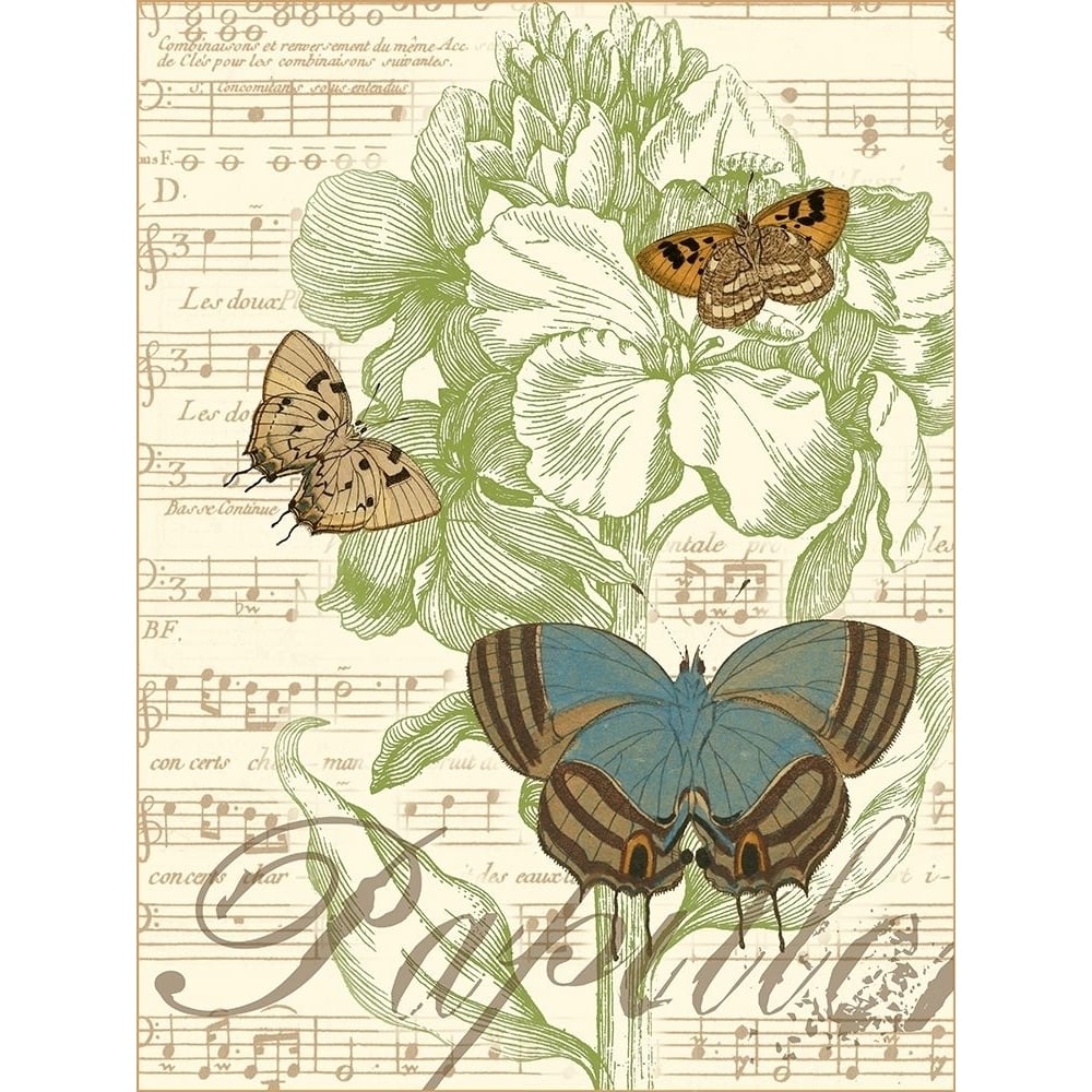 Papillon Melange I Poster Print - Studio Vision-VARPDX49619D Image 1