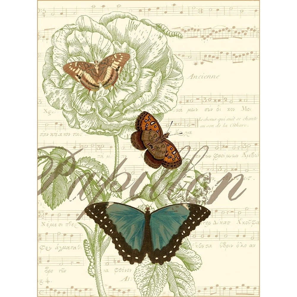 Papillon Melange II Poster Print - Studio Vision-VARPDX49620D Image 1