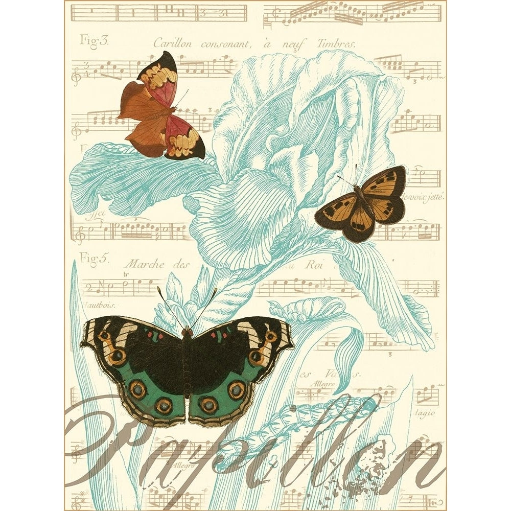 Papillon Melange III Poster Print - Studio Vision-VARPDX49621D Image 1