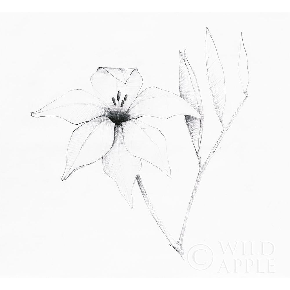 Graphite Floral V Poster Print by Avery Tillmon-VARPDX49679 Image 1