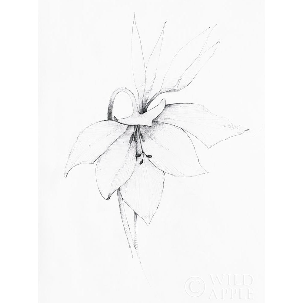 Graphite Floral III Poster Print by Avery Tillmon-VARPDX49677 Image 1