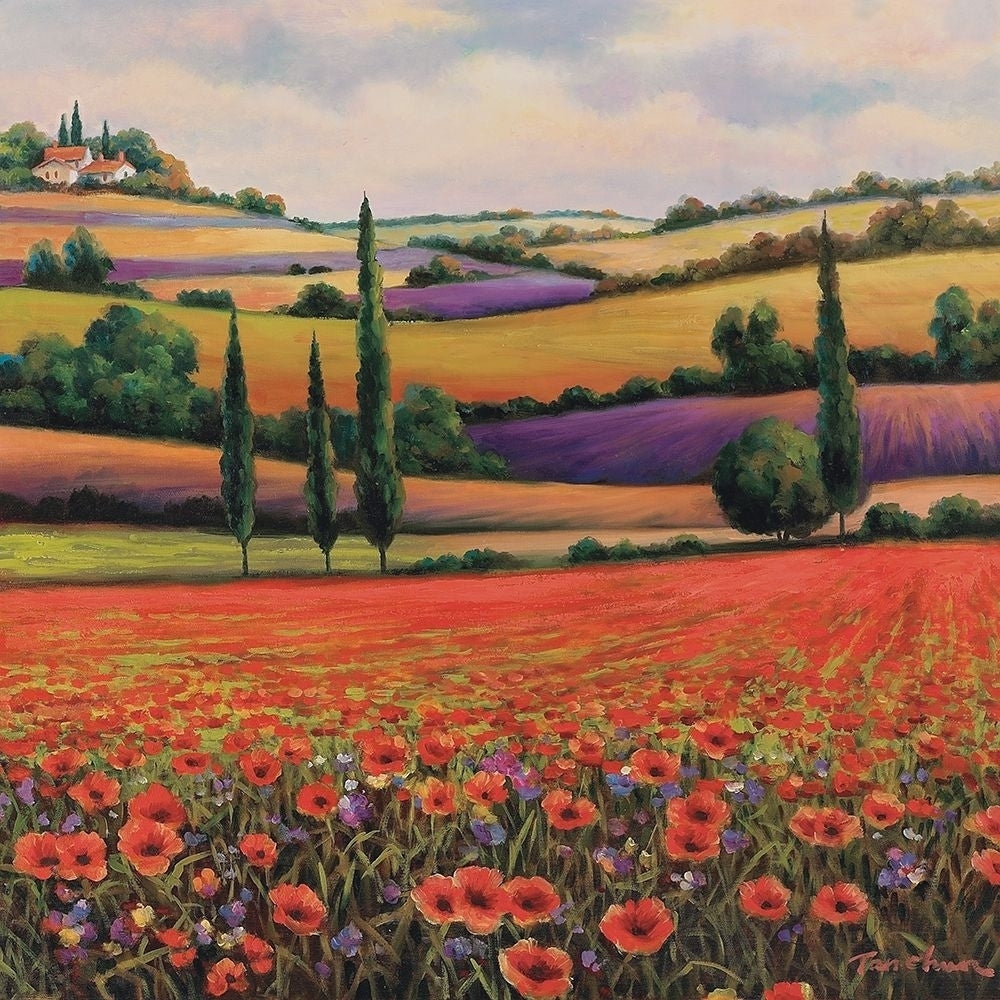 Fields of Poppies I Poster Print by Unknown Unknown-VARPDX4972 Image 1