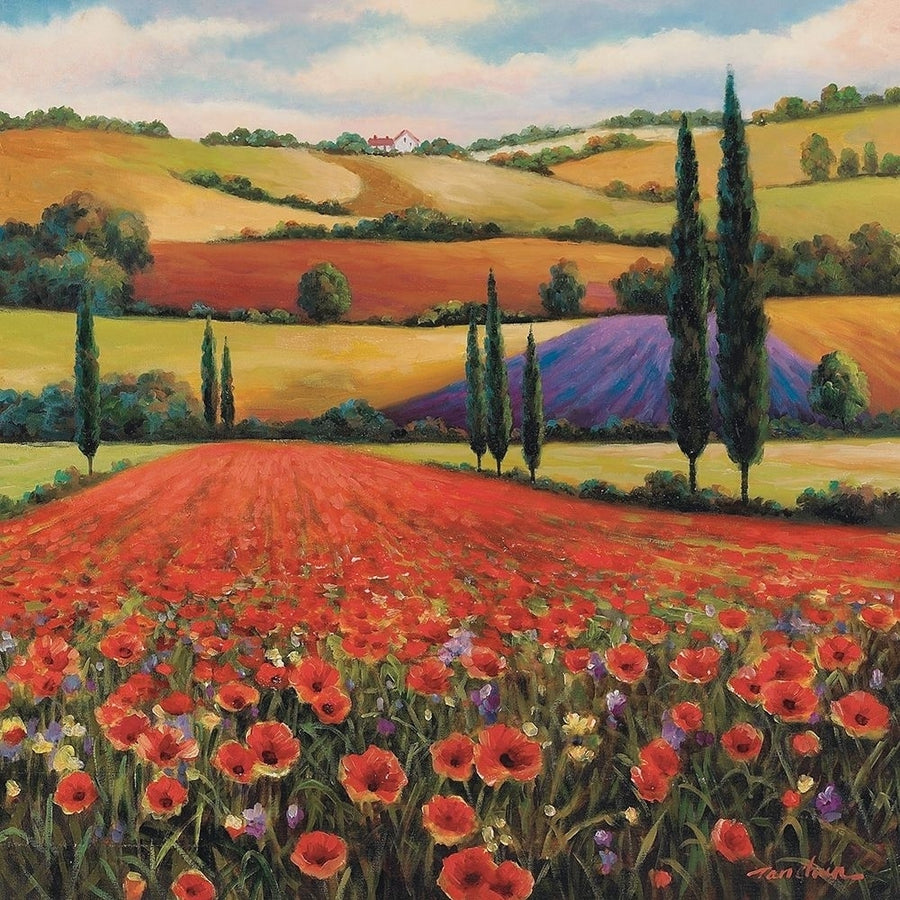 Fields of Poppies II Poster Print by Unknown Unknown-VARPDX4973 Image 1