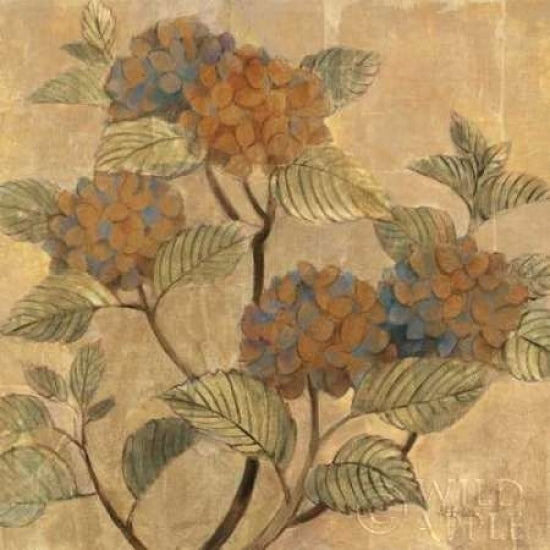 Golden Hydrangea Poster Print by Albena Hristova-VARPDX4989 Image 1