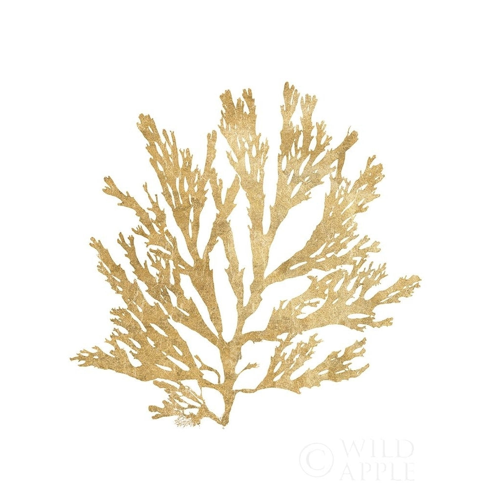 Pacific Sea Mosses I Gold Poster Print by Wild Apple Portfolio Wild Apple Portfolio-VARPDX49984 Image 1