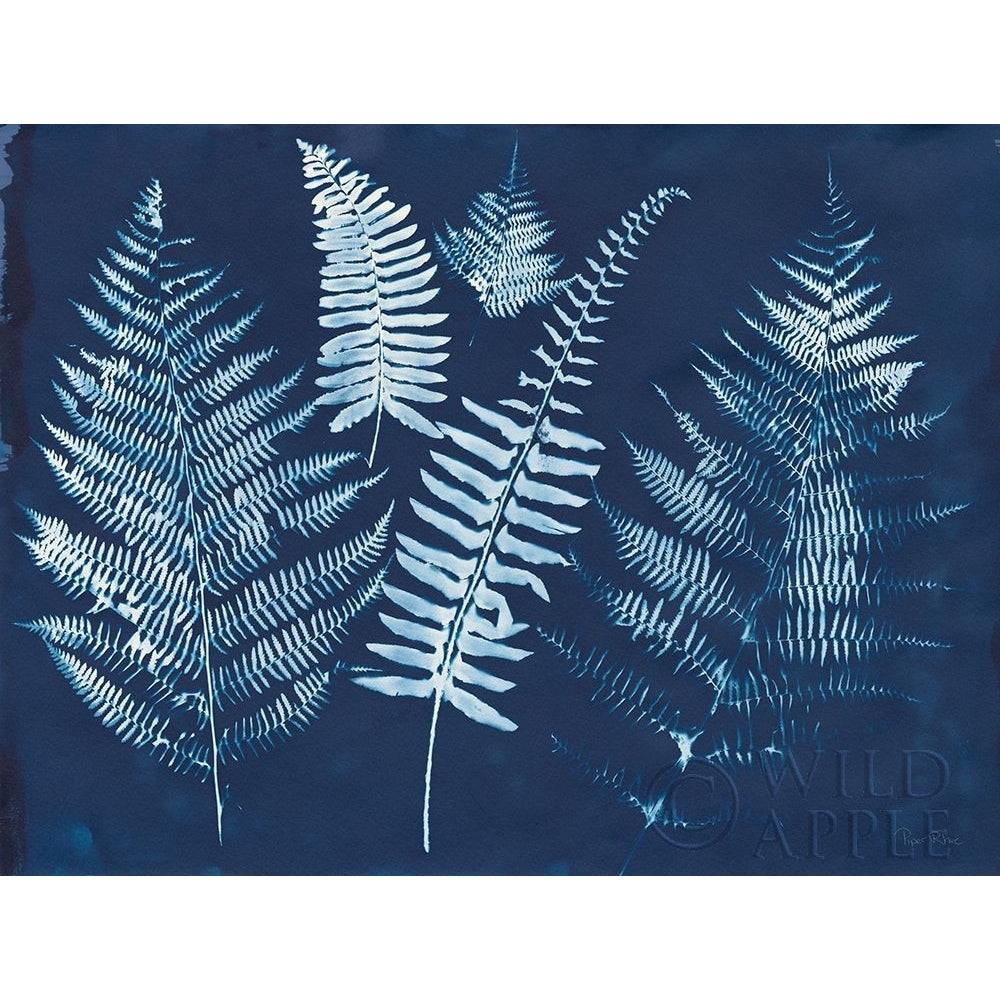 Nature By The Lake - Ferns I Poster Print by Piper Rhue-VARPDX50083 Image 1