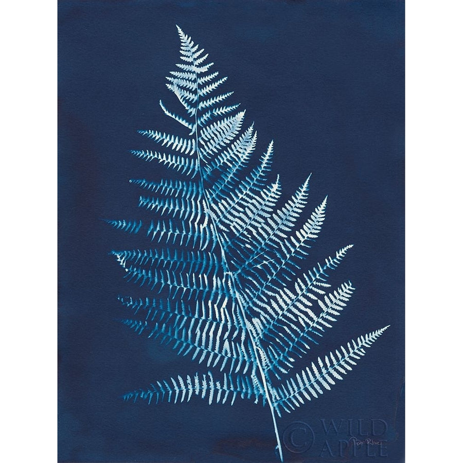 Nature By The Lake - Ferns VI Poster Print by Piper Rhue-VARPDX50088 Image 1