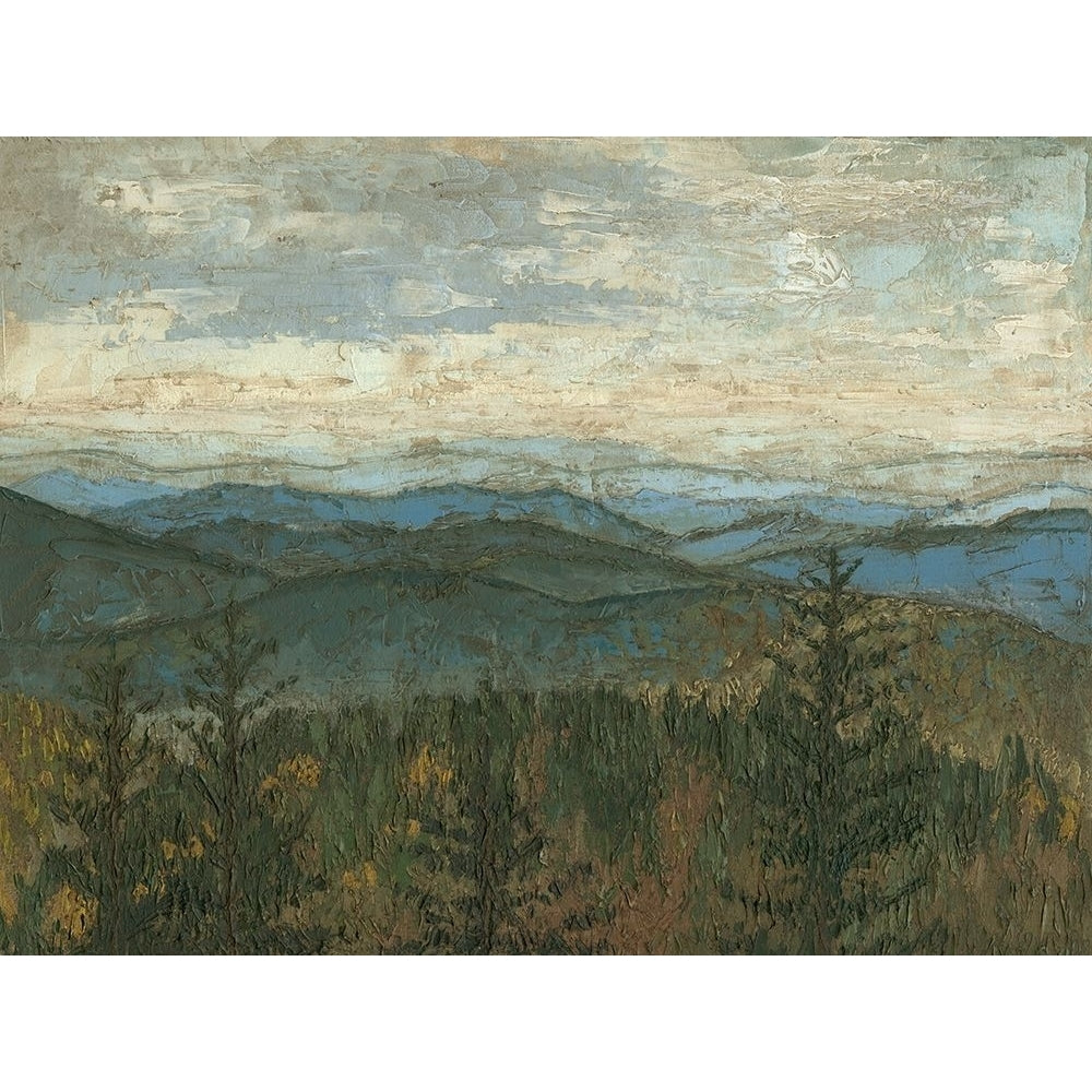 Blue Ridge View II Poster Print - Megan Meagher-VARPDX50107FN Image 1