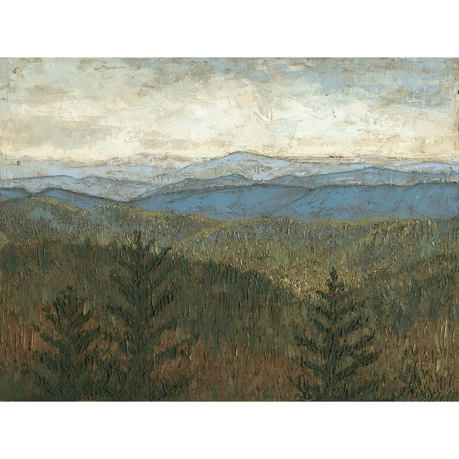 Blue Ridge View I Poster Print - Megan Meagher-VARPDX50106FN Image 1