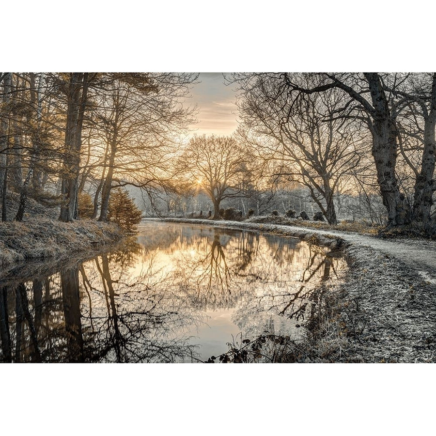 Frosty Morning Poster Print by Assaf Frank-VARPDX50158 Image 1