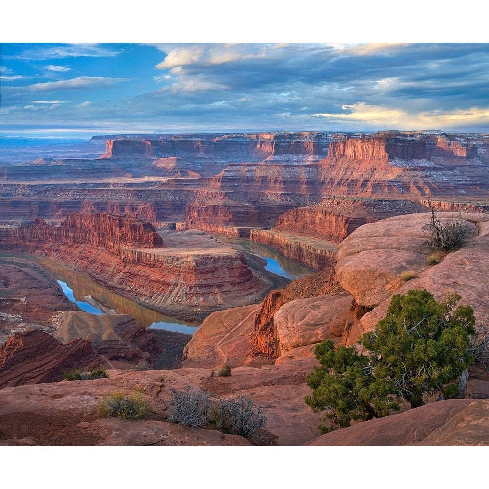 Colorado River from Deadhorse Point Canyonlands National Park Utah Poster Print - Tim Fitzharris-VARPDX501853 Image 1