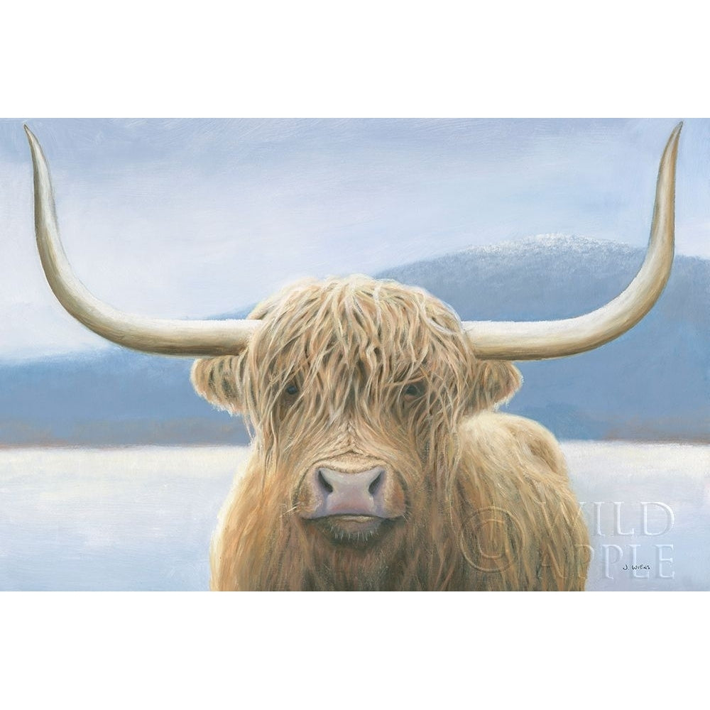 Highland Cow Poster Print by James Wiens-VARPDX50229 Image 1