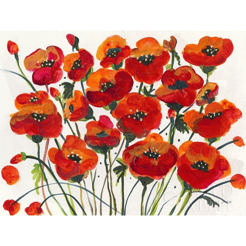 Poppin Up Poppies Poster Print by Jan Griggs-VARPDX50247 Image 1