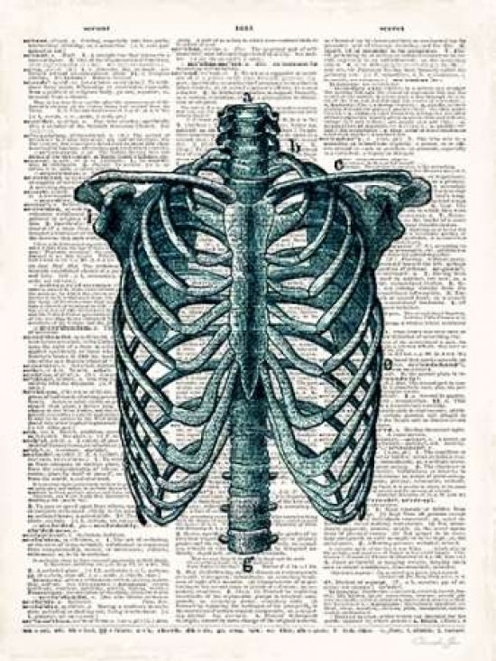 Vintage Anatomy Study Poster Print by Christopher James-VARPDX502JAM1217 Image 1