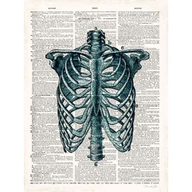 Vintage Anatomy Study Poster Print by Christopher James-VARPDX502JAM1217 Image 2