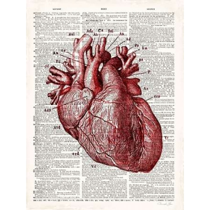 Vintage Anatomy Heart Poster Print by Christopher James-VARPDX502JAM1219 Image 1