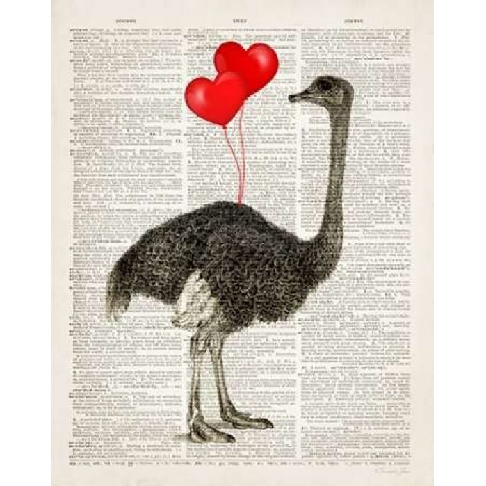 Ostrich In Love Poster Print by Christopher James-VARPDX502JAM1222 Image 1