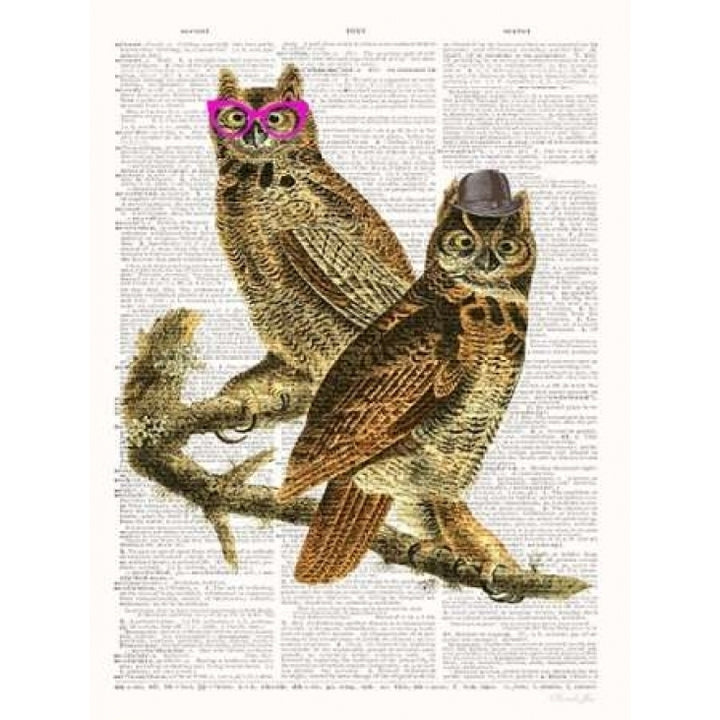 Whoo Are You Looking At ? Poster Print by Christopher James-VARPDX502JAM1228 Image 2