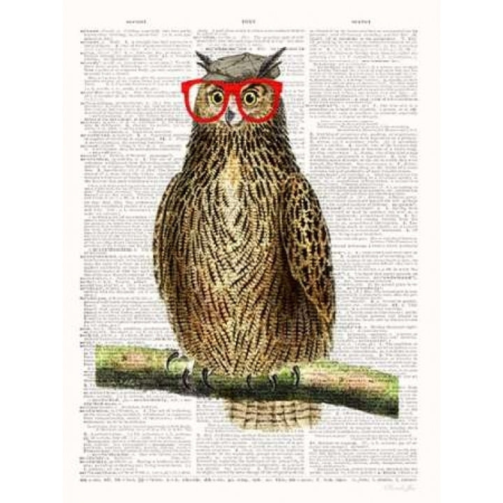 Studious Owl Poster Print by Christopher James-VARPDX502JAM1231 Image 1