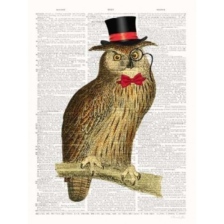 A Dapper Bird Poster Print by Christopher James-VARPDX502JAM1230 Image 2