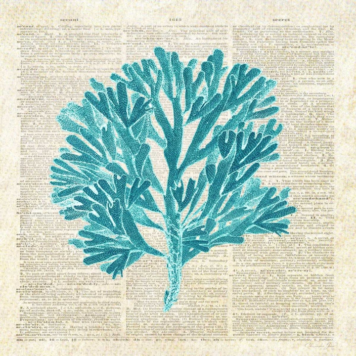 Seaweed Pages Poster Print by Christopher James-VARPDX502JAM1240 Image 1