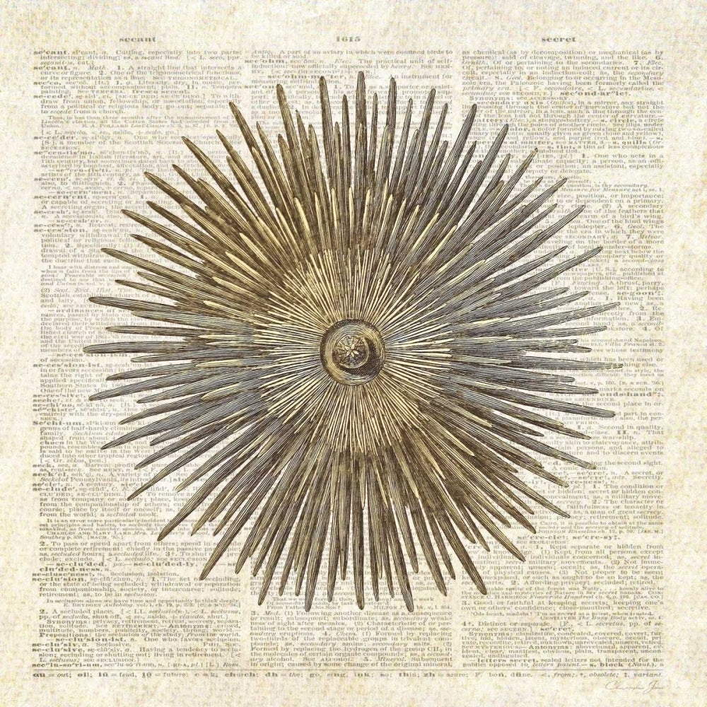 Sea Urchin Pages Poster Print by Christopher James-VARPDX502JAM1238 Image 1