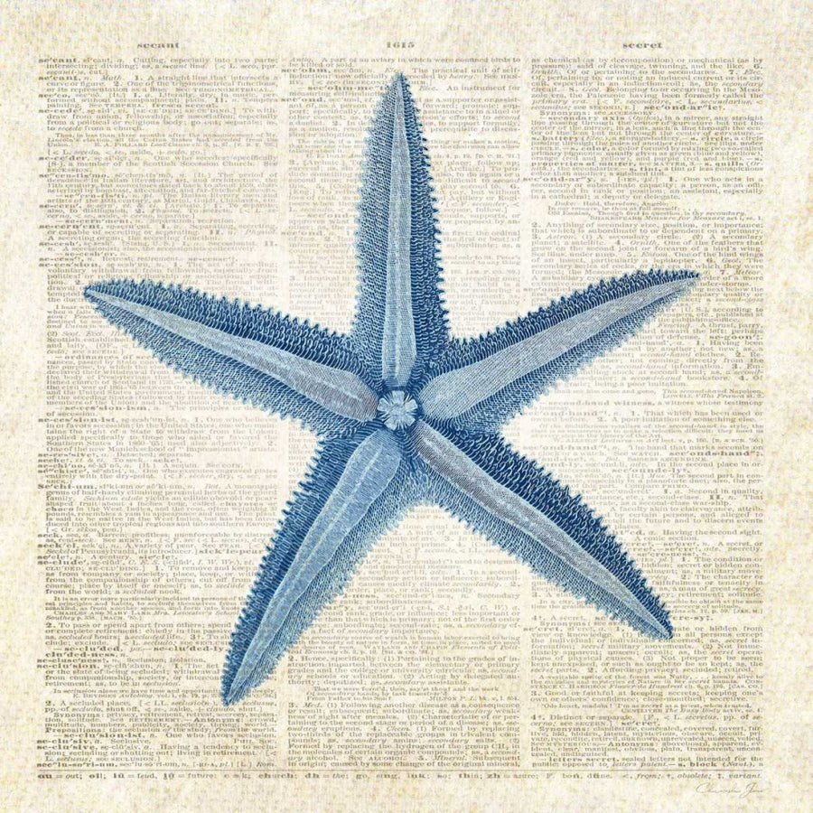 Starfish Pages Poster Print by Christopher James-VARPDX502JAM1241 Image 1