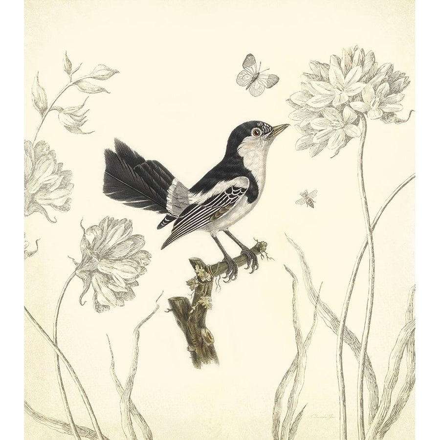 Botanical Song Bird 1 Poster Print by Christopher James-VARPDX502JAM1278 Image 1