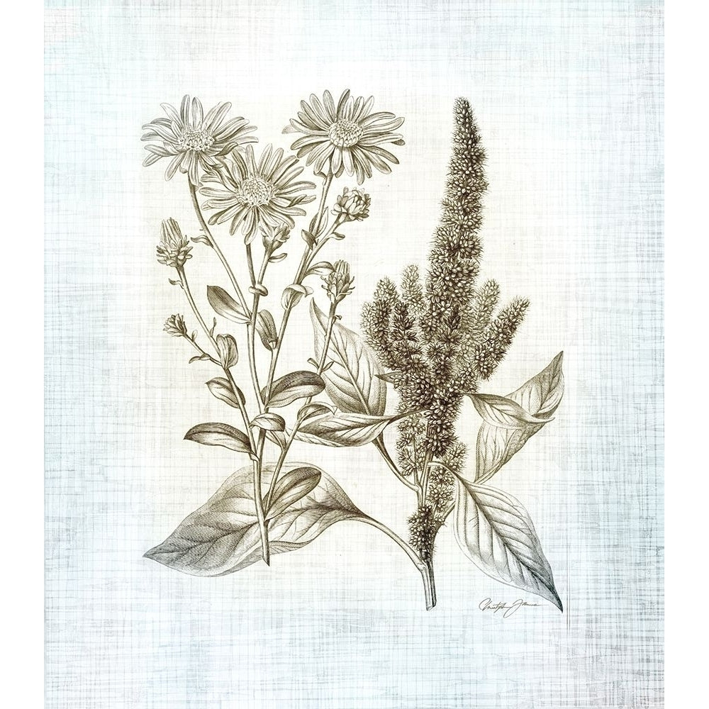 Farmhouse Botanical 2 Poster Print by Christopher James-VARPDX502JAM1315 Image 1