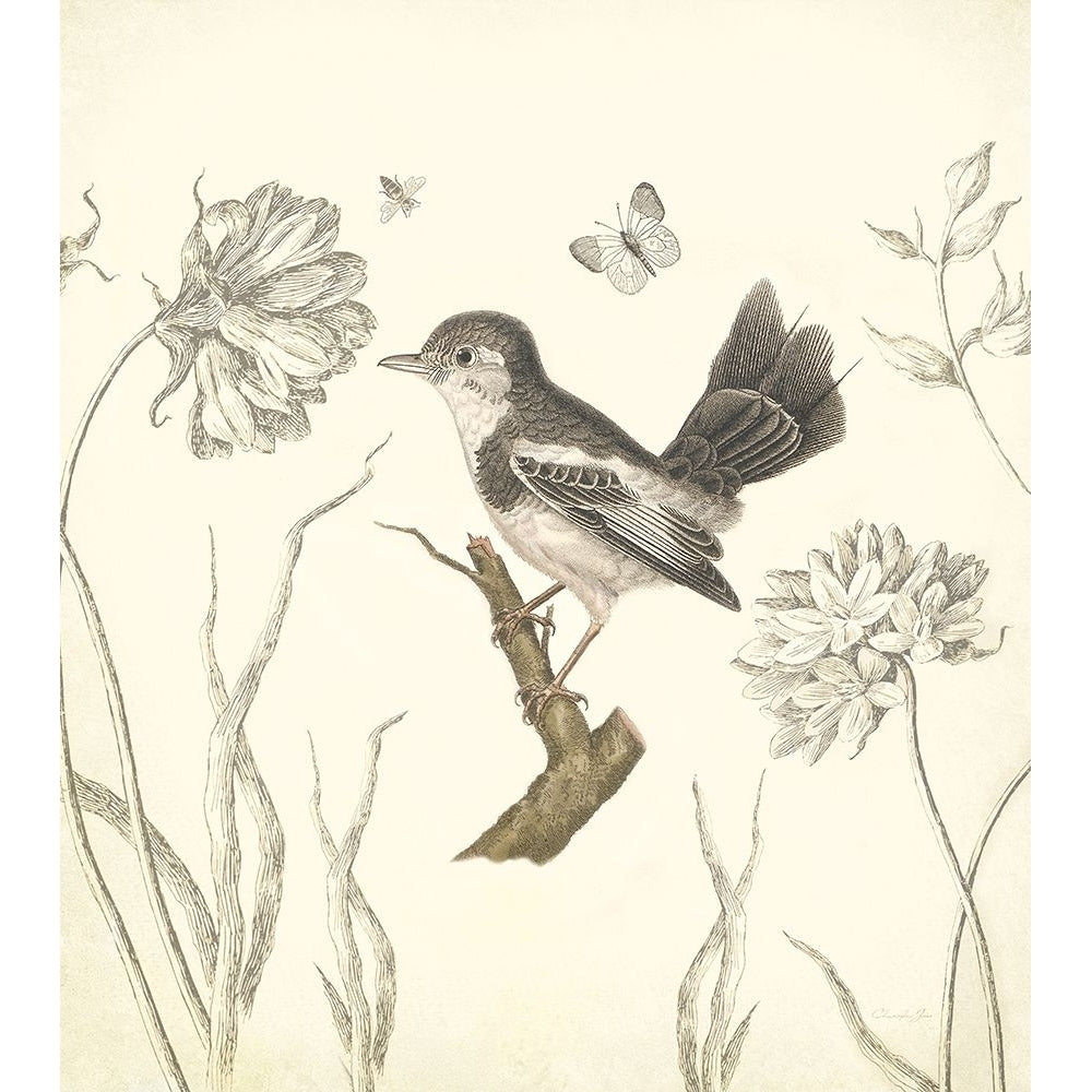 Botanical Song Bird 2 Poster Print by Christopher James-VARPDX502JAM1279 Image 1