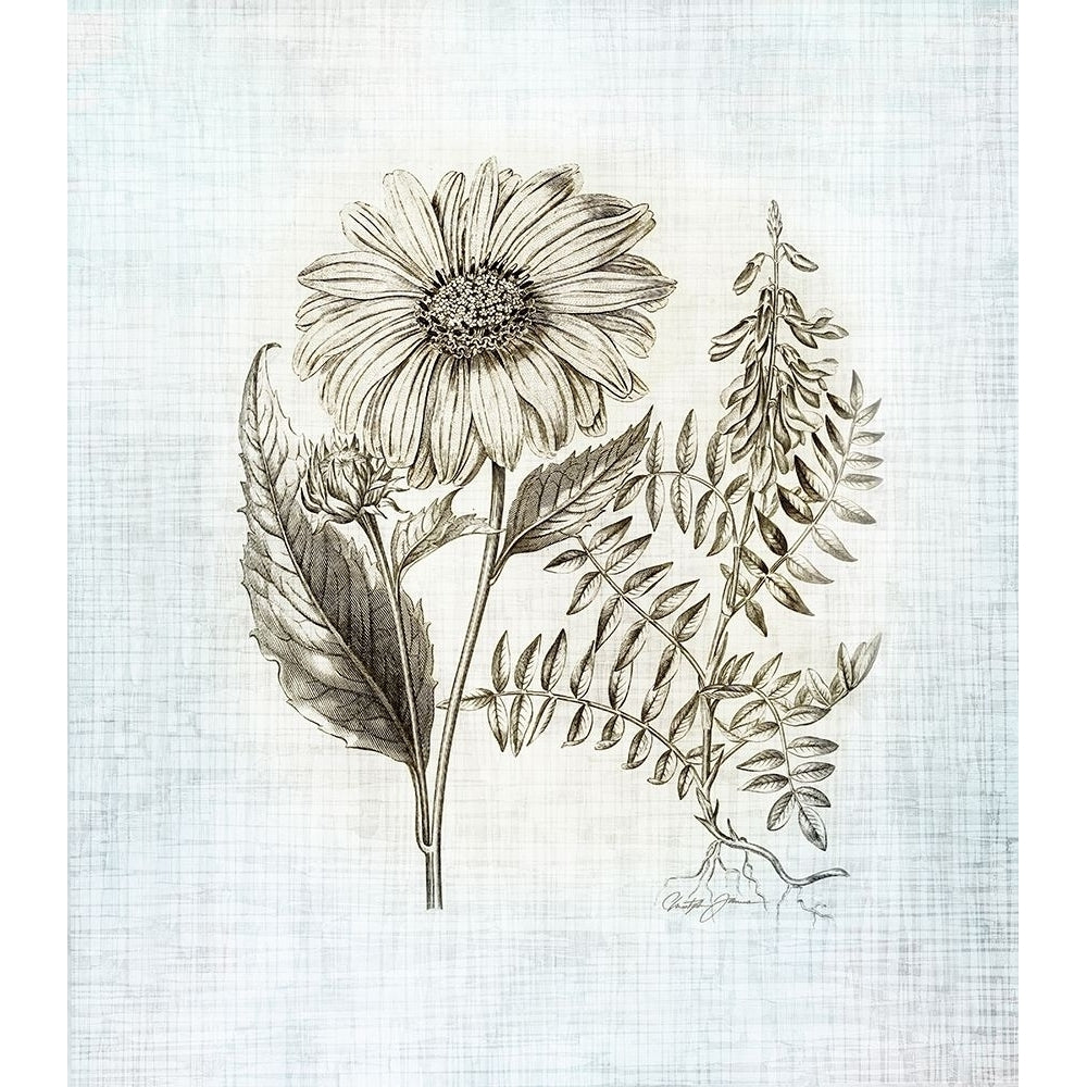 Farmhouse Botanical 3 Poster Print by Christopher James-VARPDX502JAM1316 Image 1