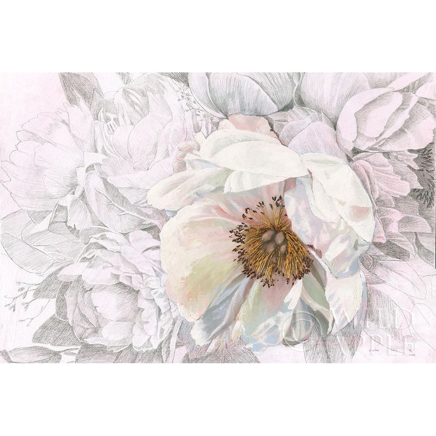 Blooming Sketch Poster Print by James Wiens-VARPDX50318 Image 1