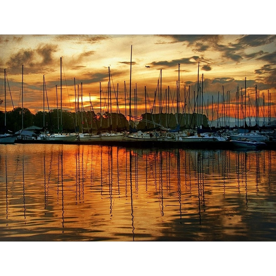 Marina Sunrise III Poster Print - Danny Head-VARPDX50336Z Image 1